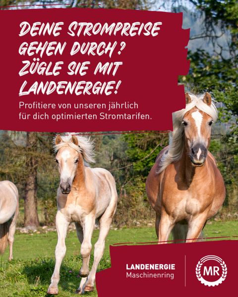 Jahreshauptversammlung
